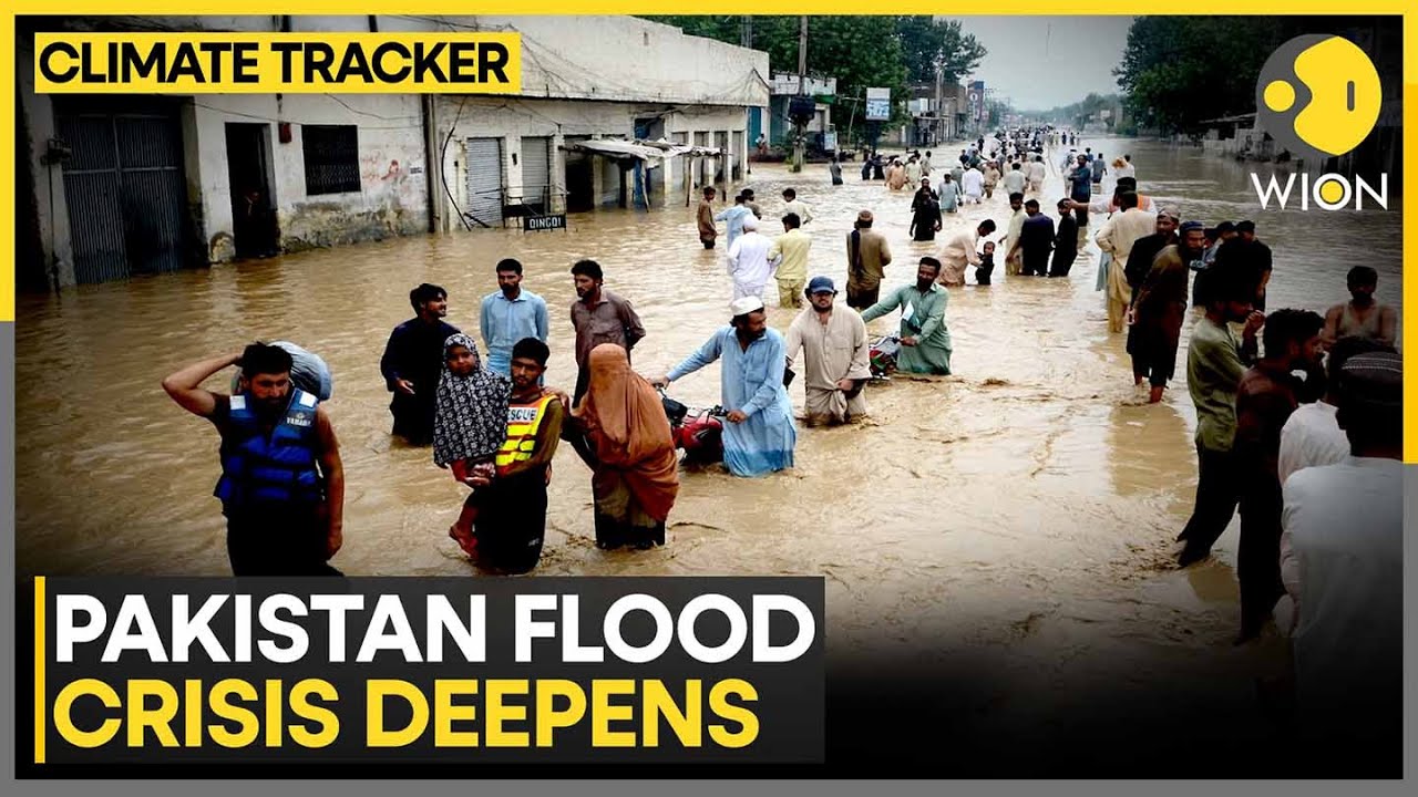 Pakistan Floods: Mass Evacuations in Pakistan's Punjab | International Aid Trickles In | WION