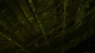 Umphrey's McGee - Asheville NC 2/20/2016 August Jam Crazyness