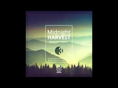 Prologue (Original Mix) - Oboe, Stefan Cukic