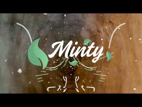 Taylor Swift - Love Story (Discolines Remix) [TikTok]