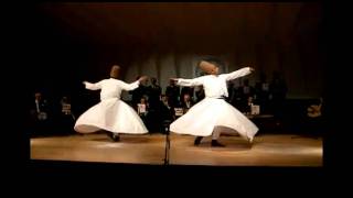 Catherine wheel lifeline