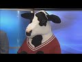 Chick Fil A Grand Opening