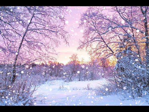 Thiên đường trắng - Tha Phương