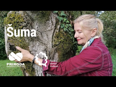 Lidija Bajuk je  šuma... Upoznajte modro-zeleno blago Međimurja!