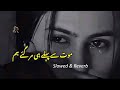 Dard Rukta Nahin Ek Pal Bhi Slowed Reverb Song 2025 Saraiki Song