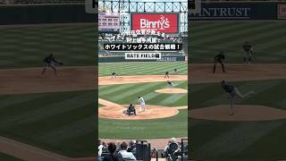 アメリカ在住者が教える！🇺🇸村上選手所属！ホワイトソックスの試合観戦！ #whitesox #chicagowhitesox #村上宗隆 #ホワイトソックス #海外旅行 #アメリカ旅行
