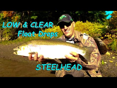 Low & Clear - Mid October STEELHEAD 2022