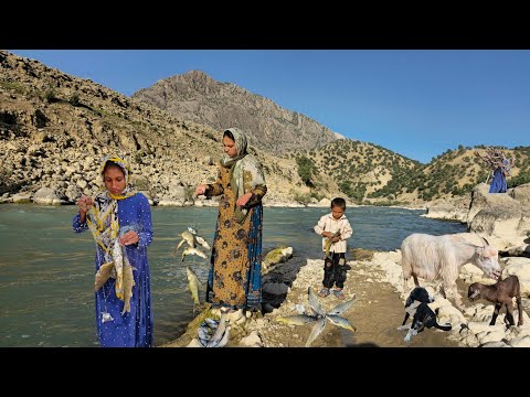 Nomadenleben: Die Abenteuer wunderschöner Nomadenmädchen | Nomadenmädchen bringen Ziegen zur Welt🐐🥰