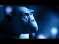 Explaining The Tree Of Life BBC Earth