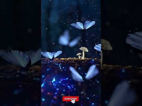 #peace #piano #peacepiano #pianorelaxation #relaxing #pianorelaxing #payam