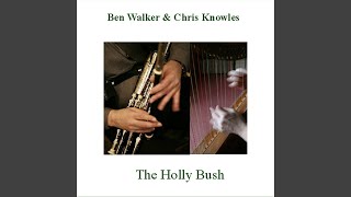 Throw the Beetle at her / Elizabeth Kelly's Delight / The Little Fair at Cannavans (Slip jJgs)