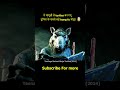Mamuli Se Turtles Ban Gaye KUNG FU Master Movieexplainedinhindi Movieexplained Movie Film