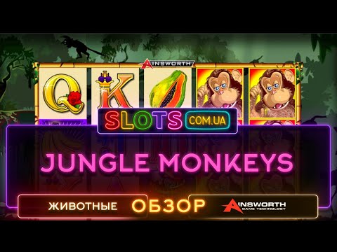 Jungle Monkeys