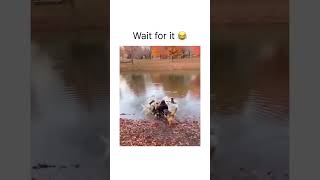 He threw the sausage in the pond ￼