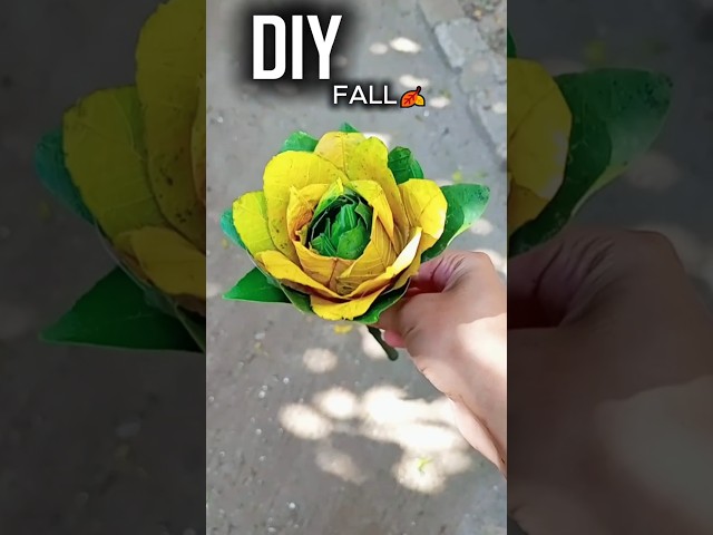 Vídeo relacionado con Genérico Halloween Wreaths Rose Flower - Decor with Berries Skull