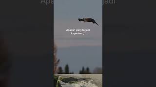 Download lagu Rezeki jodoh mati sudah di atur oleh allah #motivasi #storywa #shortvideo mp3