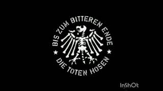 Die Toten Hosen (Wasted years)