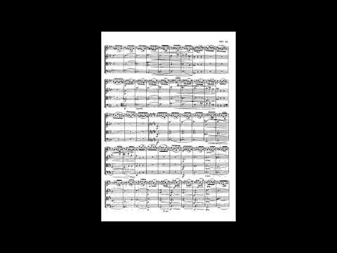 Beethoven - Op 95 String Quartet in F minor "Serioso" (TNQ)