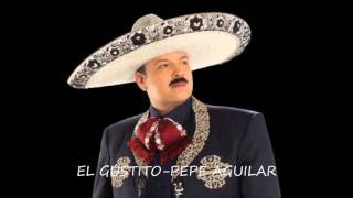 El Gustito-Pepe Aguilar