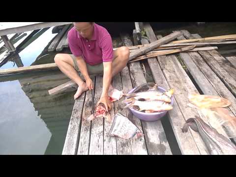 Bakun Dam Homestay: Preparing Ikan Tapah for lunch!