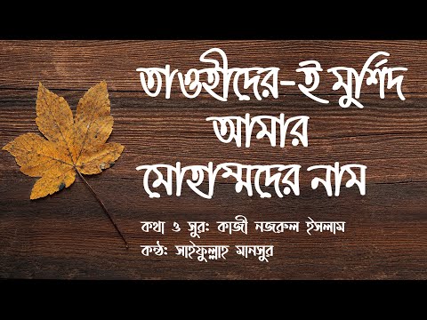 Tawhider e murshid amar Muhammad er naam (Lyrics video)