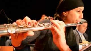 Turma do Paulinho e Roberto Seresteiro - AME (Paulinho da Viola / Elton Medeiros)