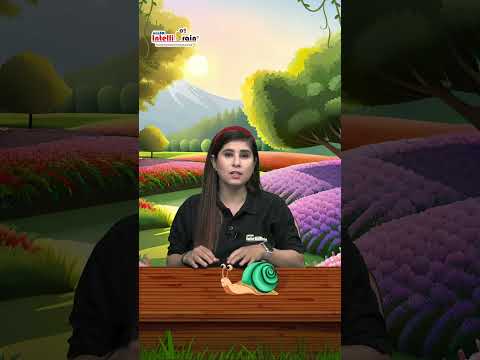 For How Long Can Snails Sleep? Intelli Science Fact #snail #snailfacts #shorts