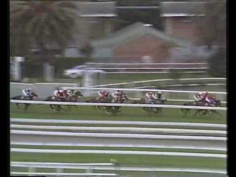 Carberry Stakes 1993