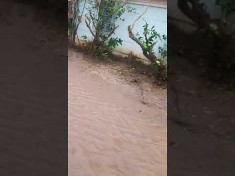 Efectos del huracán Melissa en Puerto Padre #shorts #huracan #melissa #inundaciones #puertopadre