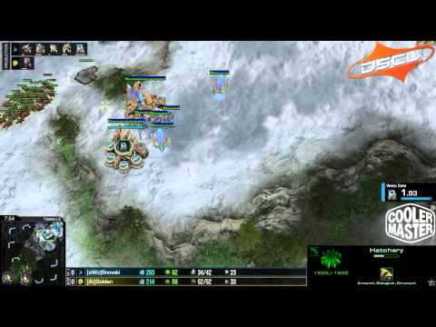 DSCL Open 2014 - Q4 - [eWz]Snovski Vs. [Ai]Golden - Finals - Game 1