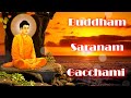 Buddham Saranam Gacchami Chant 108 Times Buddha Purnima Buddha Mantra Pronali Chaliha Agarwal