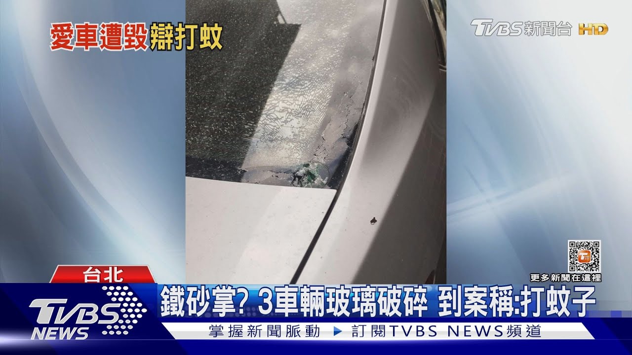 鐵砂掌? 3車輛玻璃破碎到案稱:打蚊子