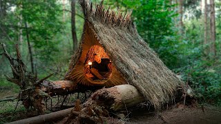 Built a Cozy Hut on Top of Fallen Trees. Bushcraft, Survival