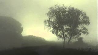 Tetsu Inoue - Zen