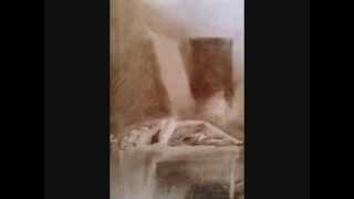 Félicien ROPS on Cassandra WILSON