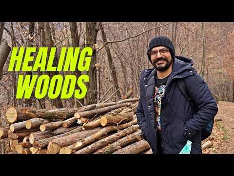 77. The 'F5' button of my brain | a winter stroll