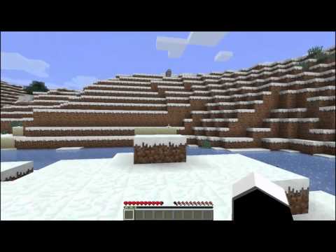 Unbelievable Snow Biome Glitch with a Panda!
