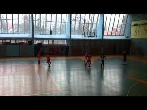 MirzaGol feb. '16 Kamnik