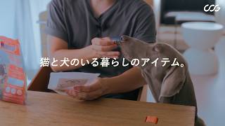 【猫と犬のいる暮らしのアイテム。】猫と犬と暮らすNagiruが選ぶ犬猫グッズ｜愛用品紹介