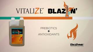 Vitalize® Blazin'