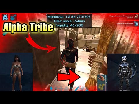 Taking Revenge on the Alpha tribe | Making progress| Solo on Official | Eps 2