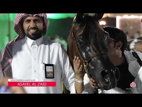 10TH ARABIAN HORSE SHOW FOR LOCAL BREEDERS IN SAUDI ARABIA 2021 - HIGHLIGHTS