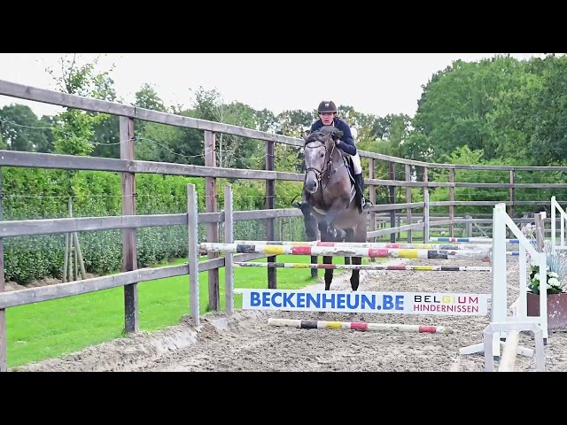 Under the saddle