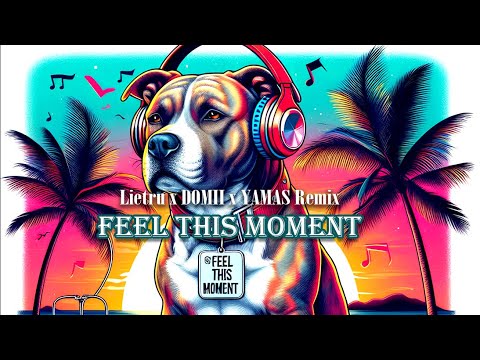 Feel This Moment - Lietru x DOMII x YAMAS | Techno Remix