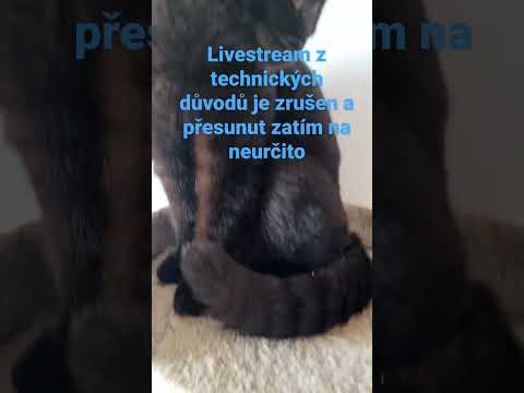 ale někdy jindy bude