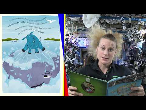 The Rhino Who Swallowed a Storm