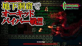 【キャッスルバニアSoH】　#20　炎のムチが強すぎてごり押し復活？！　攻略実況　Castlevania: Symphony of Horrors
