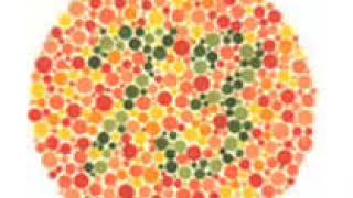 TEST DE ISHIHARA COMPLETO LAS 38 LAMINAS