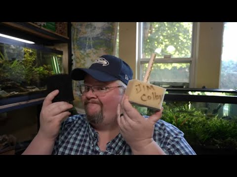 Sponge Filters are awesome - Here's what makes them so incredible!