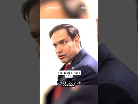 Sen. Marco Rubio says it would be an ‘honor’ to be offered a spot as Trump’s VP